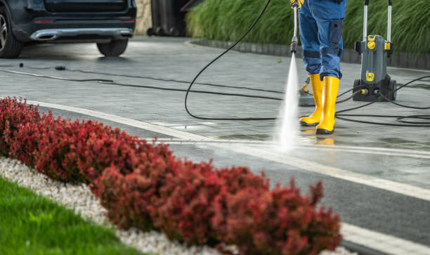 Best Pressure Washing Siding  in Bunnell, FL